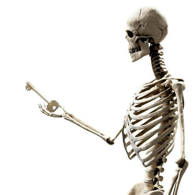 The TRUTH about Skeleton Keys. – UKBumpKeys