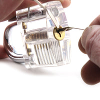 Dangerfield Soho lock rakes working on a transparent lock.